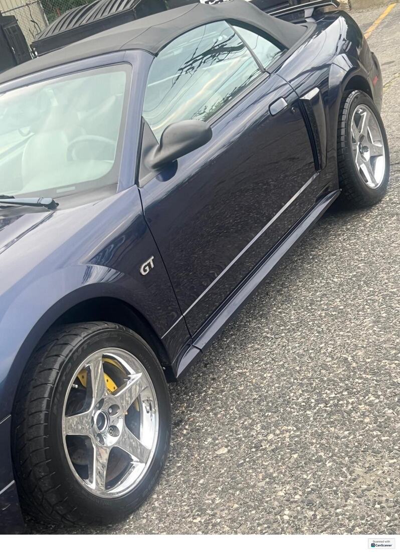 Auto Clean 6