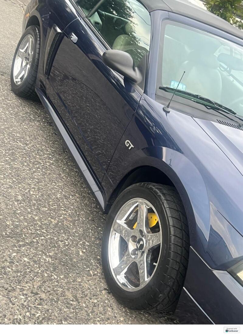 Auto Clean 7